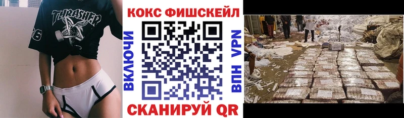 COCAIN Fish Scale Глазов