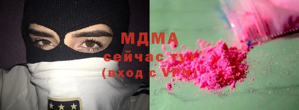 гашик Алексин