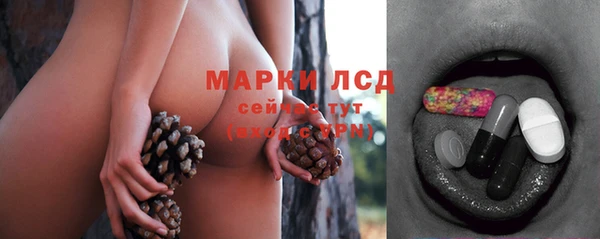 гашик Алексин