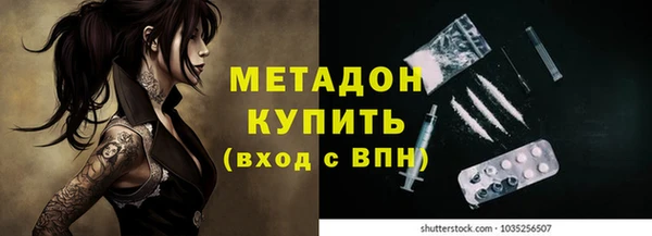 гашик Алексин