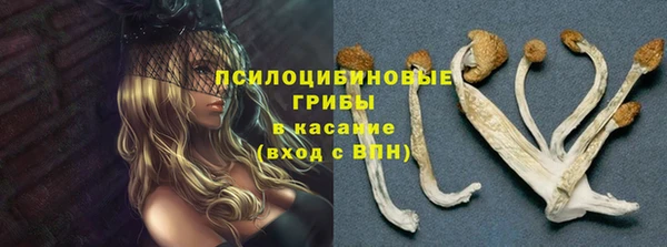 гашик Алексин