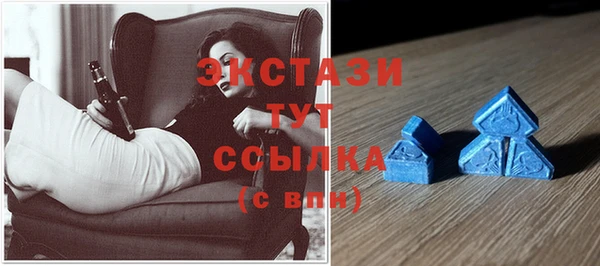 гашик Алексин