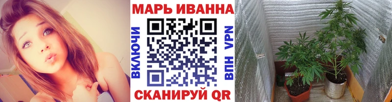 Бошки марихуана семена  сколько стоит  Глазов 